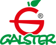 galster logo