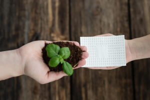 Absorbers for packing fresh food